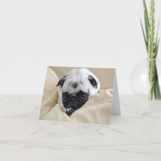 Cartão Placa Pug