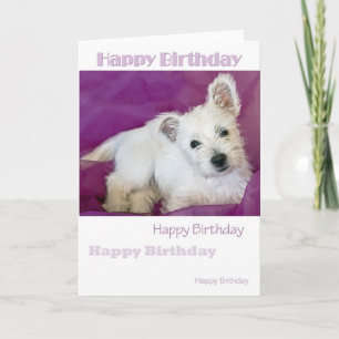 Cartão Placa Pup Westie