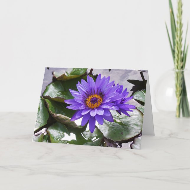 Cartão Placa-quadro de aniversário da Flor Roxa 7x5 (Frente)