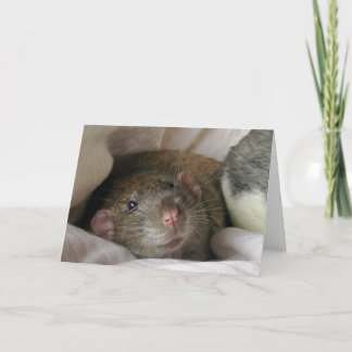 Cartão Placa Rat do vazio