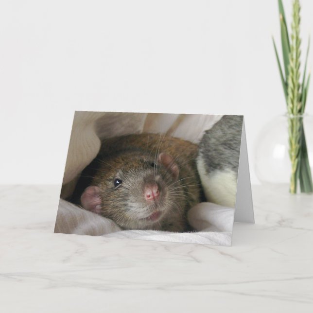 Cartão Placa Rat do vazio (Frente)