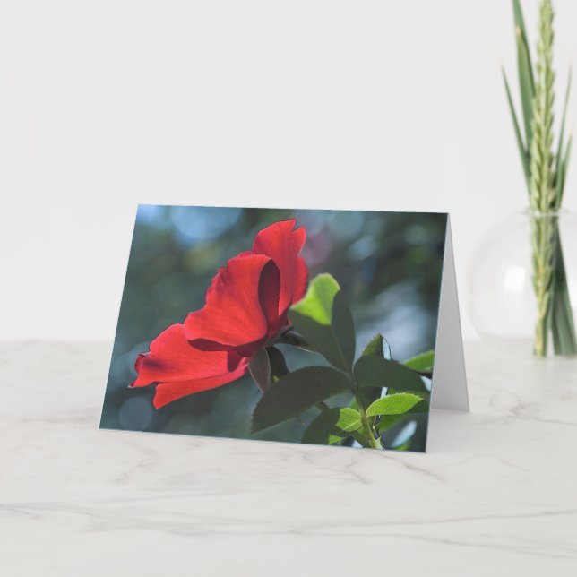 Cartão Placa rosa (Frente)