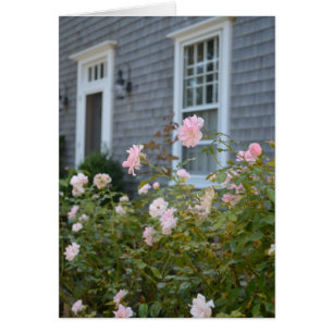 Cartão Placa Rosa Nantucket
