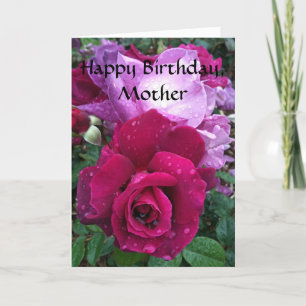 Cartão Placa Rosa púrpura