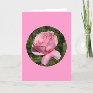 Cartão Placa, "Rosa Rosa Rosa Rosa Rosa em Círculo" N-1