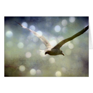 Cartão Placa Sagull Soaring All Occastion