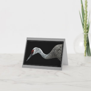Cartão Placa Sandhill Crane