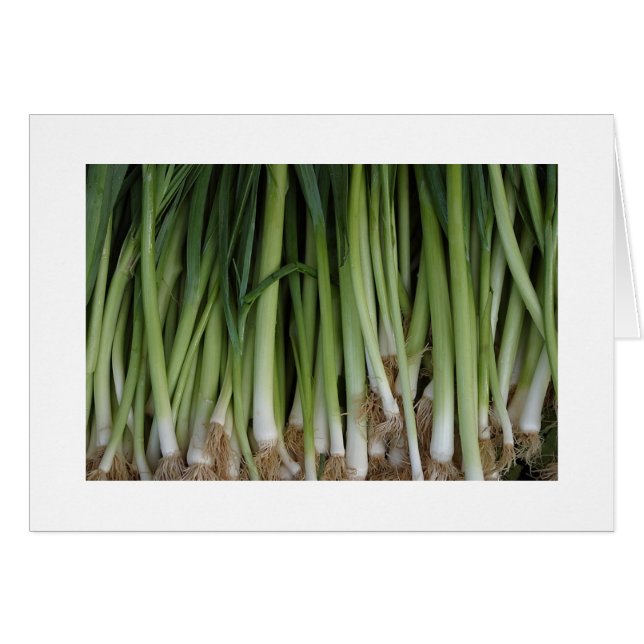 Cartão Placa Scallions (Frente Horizontal)