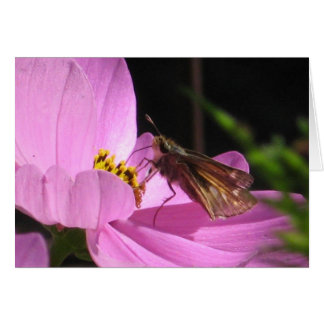 Cartão Placa sem borboleta