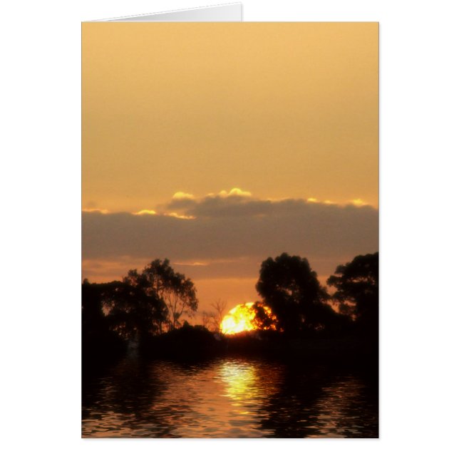 Cartão Placa SÉRIE SUNREALISMO (Frente)