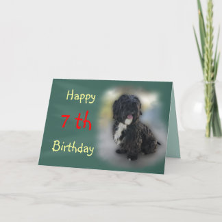 Cartão Placa Shorty Lhasa Apso-Shih Tzu personalizada