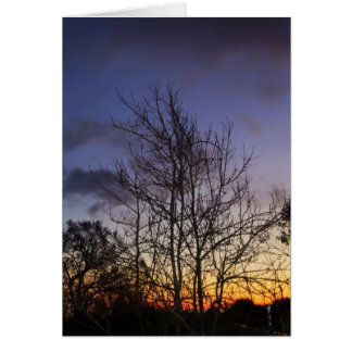 Cartão Placa Skyscapes #001