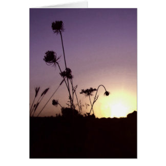 Cartão Placa Solar das Flores Selvagens