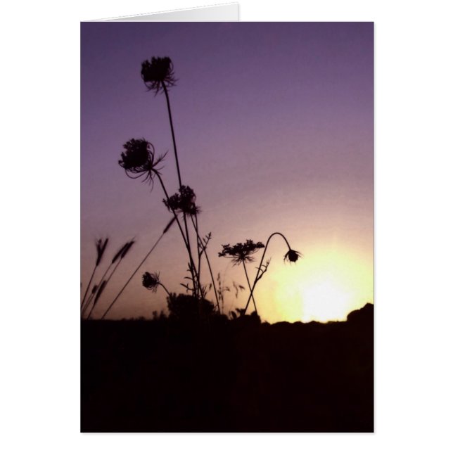 Cartão Placa Solar das Flores Selvagens (Frente)