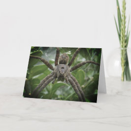 Cartão Placa Spider Halloween