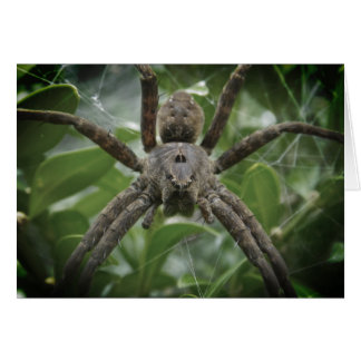 Cartão Placa Spider Halloween