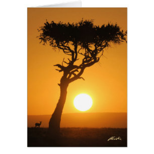 Cartão Placa Sunset