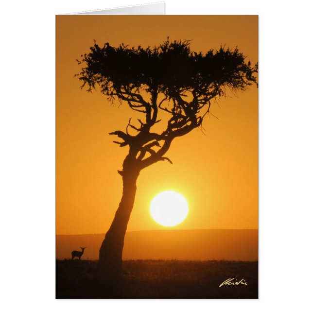 Cartão Placa Sunset (Frente)