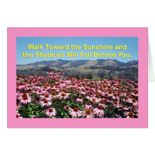 Cartão Placa Sunshine e Shadows