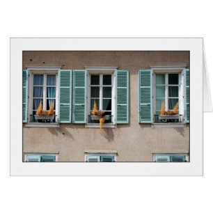 Cartão Placa SUSPENSA