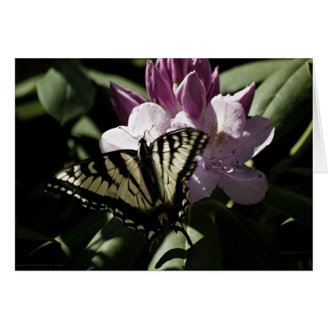 Cartão Placa Swallowtail e Rhododendron (Frente horizontal)