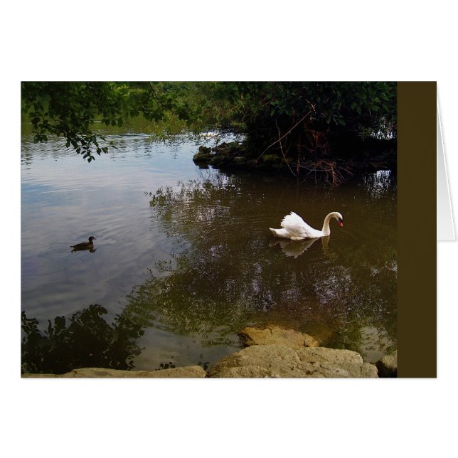 Cartão Placa Swan Silken (Frente Horizontal)