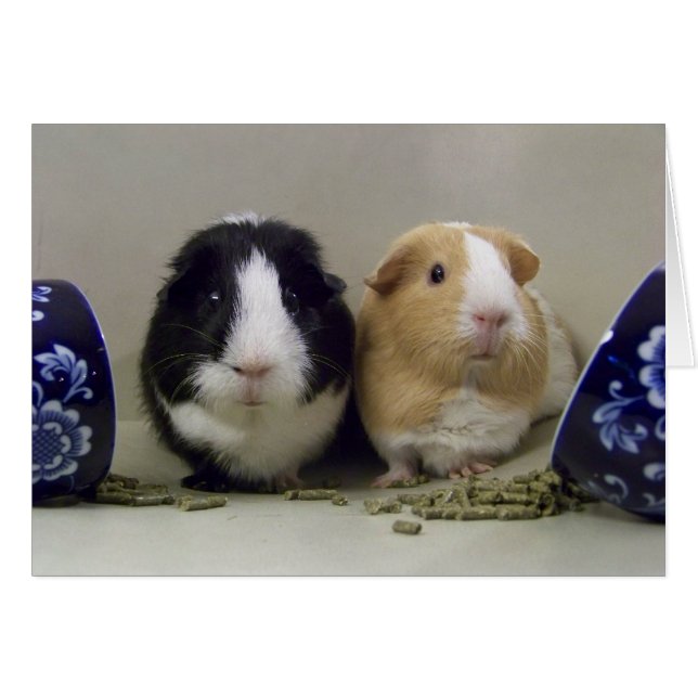 Cartão Placa "tempo de chá" do vazio (Frente Horizontal)