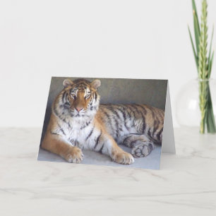 Cartão Placa Tiger