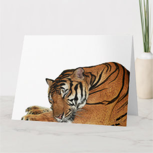 Cartão Placa Tigre de Descolagem