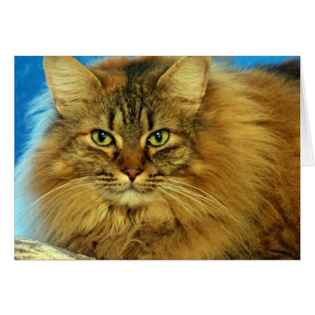 Cartão Placa Tootles (Frente Horizontal)