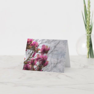 Cartão Placa Tulip Tree Blossoms