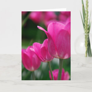 Cartão Placa Tulips