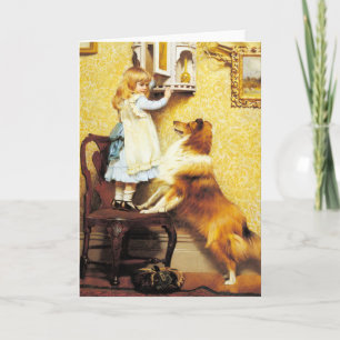 Cartão Placa: Um Pleader Especial