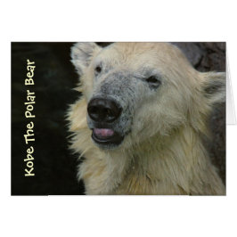 Cartão Placa: Urso Polar Sorridente