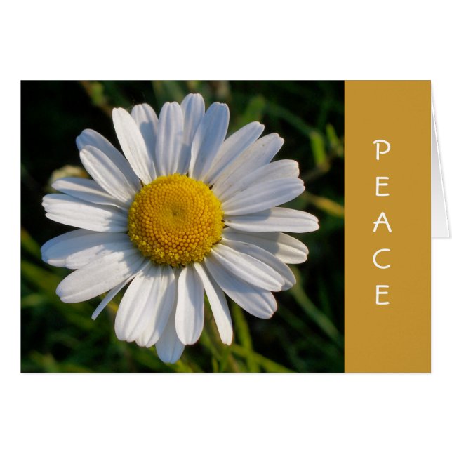 CARTÃO PLACA WILDFLOWER (Frente Horizontal)