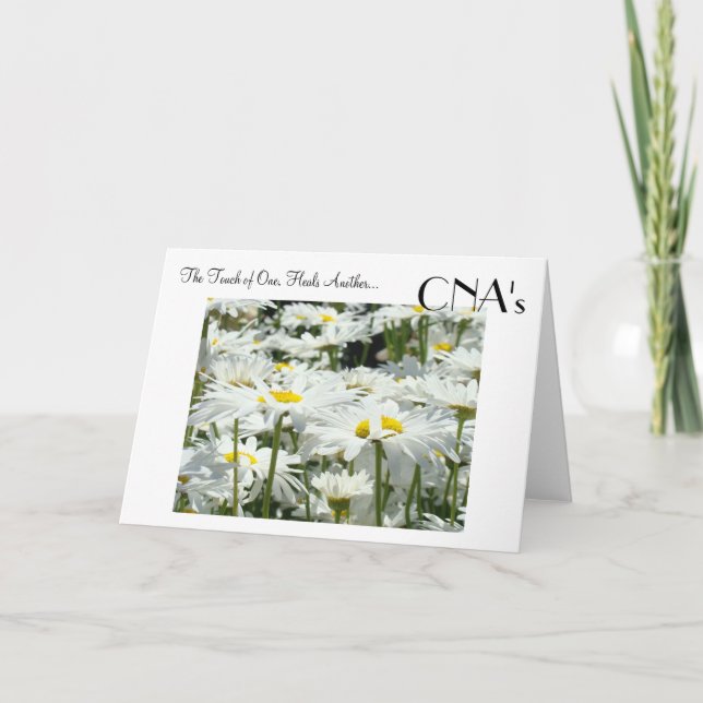 Cartão Placas CNA com capacidade de reparo de toque CNAs  (Frente)