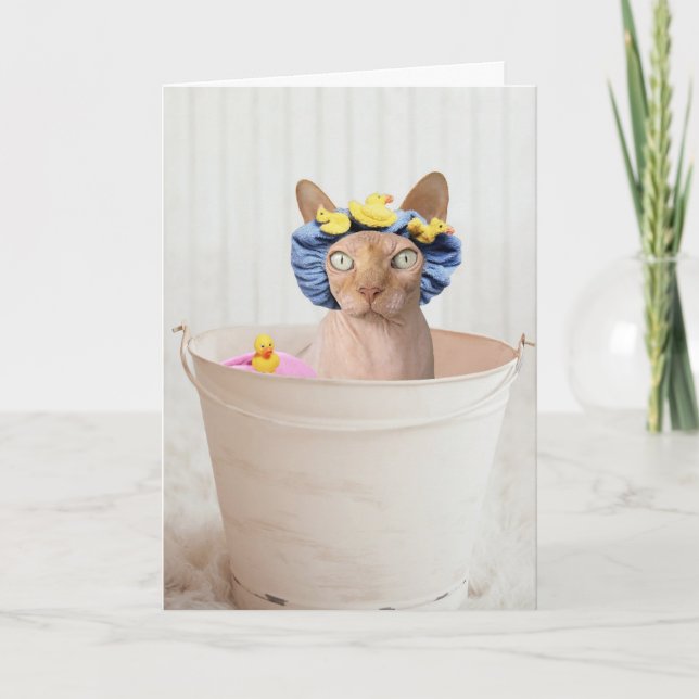 CARTÃO PLACAS DE ANIVERSÁRIO DE GATO FUNNX CAT (SEM CABEL (Frente)