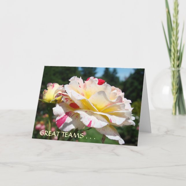 Cartão Placas de excelente LÍDERES Comprometidas Placas P (Frente)