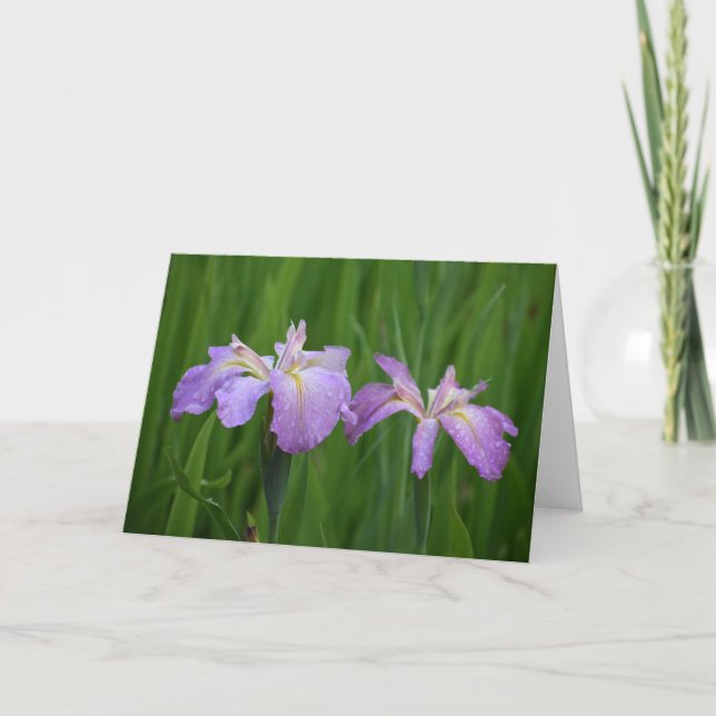 Cartão Placas de Flores de lavanda (Frente)