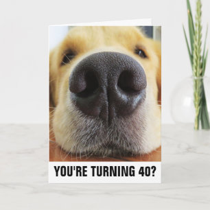 CARTÃO PLACAS DE GREETING DE CACHORRO ANIVERSÁRIO DE 40 