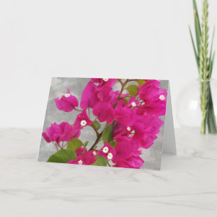 Cartão Placas de Nota Bougainvillea