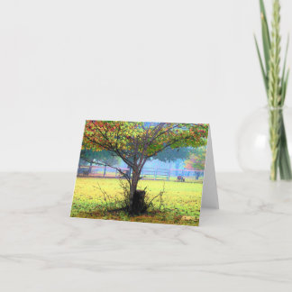 Cartão Placas de Nota de Arte Runamuk Ranch (dentro de va