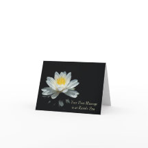 Placas de Nota de Flor de Lotus Flutuantes