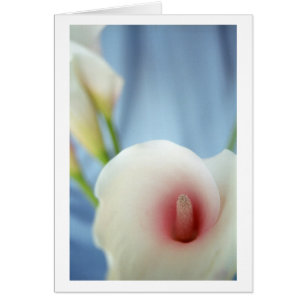 Cartão Placas de Nota de Fotografia do Swirl White Calla 