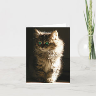 Cartão Placas de Nota de Kitten