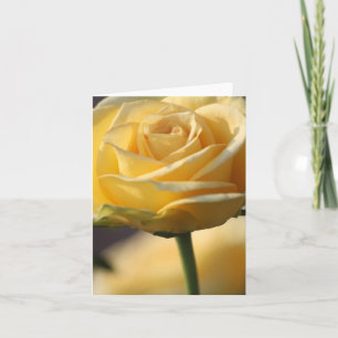 CARTÃO PLACAS DE NOTA DE ROSE AMARELO