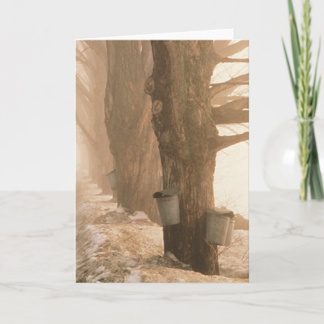 CARTÃO PLACAS DE RECEPÇÃO DE BALDES SAP (Frente)