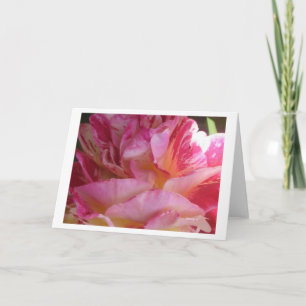 Cartão Placas de Rosa de saudação ou de anotação com Flut
