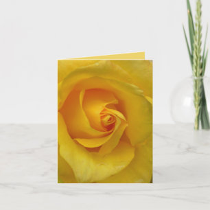 Cartão Placas de Saudação Personalizadas de Flores Rosa A