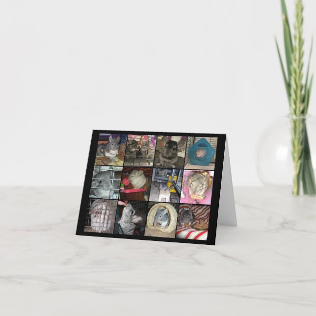 Cartão Placas Wunderchins 2012 (Frente)